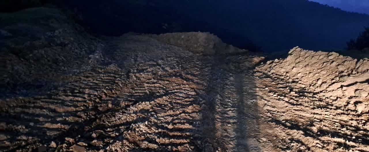 دادستان شفت؛ پیگیر خسارات وارد شده به جنگل های هیرکانی است دادستان شفت؛ پیگیر خسارات وارد شده به جنگل های هیرکانی است