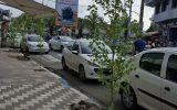 کاشت درختان جدید به‌جای درختان فرسوده در بلوار شهدا صومعه‌سرا