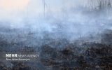 حریق ۱۷ هزار متر مربع از جنگل «هرشون دشت» تالش مهار شد