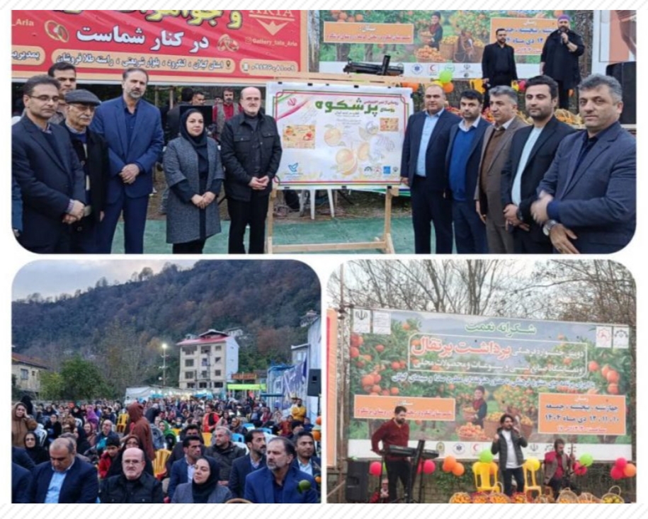 رونمایی از تمبر اختصاصی روستای ملی پرشکوه، قطب مرکبات گیلان