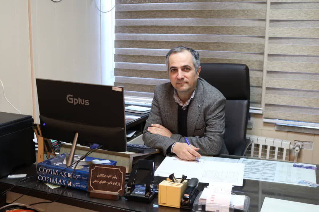 تولید بیش از سه میلیون نهال جنگلی در استان گیلان