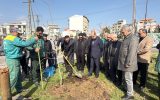 کاشت درختان بومی در سطح شهر رشت همزمان با هفته منابع طبیعی