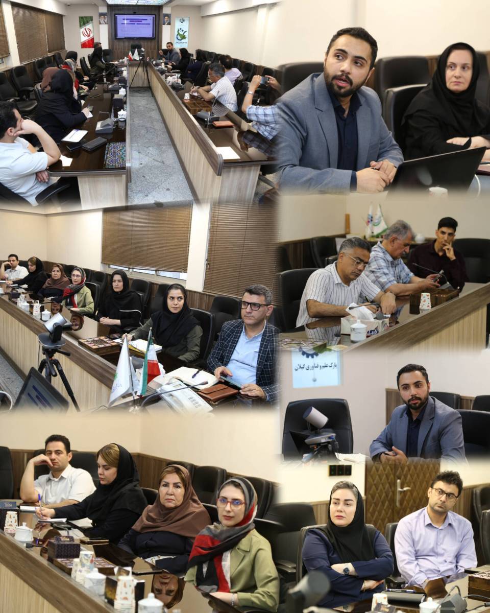 برگزاری کارگاه تخصصی «اعتبار مالیاتی» با محوریت مهندسی فروش در پارک علم و فناوری گیلان برگزاری کارگاه تخصصی «اعتبار مالیاتی» با محوریت مهندسی فروش در پارک علم و فناوری گیلان