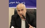 پروانه‌های کشتارگران غیر فعال مرغ ابطال می‌شود/ میزان قیمت و سود مرغ زنده تا مصرفی شفاف نیست